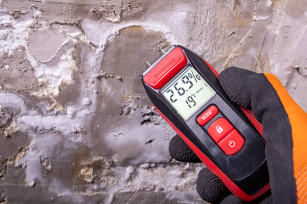 Best Local Mold Removal Service  in , ID