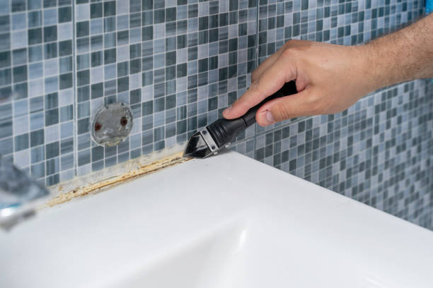 Best Commercial Mold Removal  in , ID